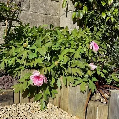 Appartement Ti Massa - Petit Cocon Avec Jardin A St Servan